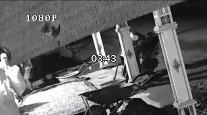 Rekaman CCTV dugaan pencurian kopi di Dusun Lembayya, Desa Rappolemba, Tompobulu, Gowa.