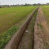 Keluhan petani Lembang Parang terkait sawah mengering mendapat penjelasan dari PPA. Air disebut lambat sampai ke area persawahan akibat keterlambatan pengaliran dan banyaknya sedimen di saluran tersier.