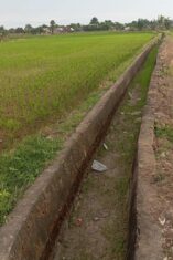 Keluhan petani Lembang Parang terkait sawah mengering mendapat penjelasan dari PPA. Air disebut lambat sampai ke area persawahan akibat keterlambatan pengaliran dan banyaknya sedimen di saluran tersier.