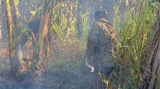 Babinsa Kodim 1409/Gowa bersama Bhabinkamtibmas dan warga bergerak cepat memadamkan kebakaran lahan di area PT Subaco, Lingkungan Biringkaloro, Kelurahan Tetebatu, Kecamatan Pallangga, Kabupaten Gowa, Rabu (2/9/2026).