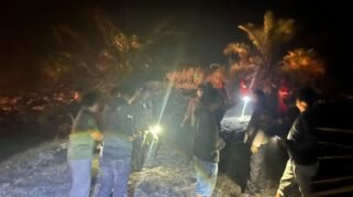 Kebakaran menghanguskan sekitar lima hektare perkebunan kelapa sawit milik warga di Bukit Bunging-Bunging, Dusun Landi, Desa Baru, Kecamatan Campalagian, Kabupaten Polewali Mandar (Polman), Rabu (2/9/2026) malam.
