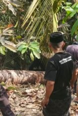 Kebakaran Lahan Kakao di Tutar Dipadamkan Warga dan Polisi