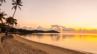 Ilustrasi Pantai Sunset Under The Sky, Nusa Tenggara Timur (Foto:Magnific)