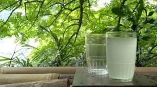 Ilustrasi Minuman Lahang Khas Sunda (Foto:Okezone Women)