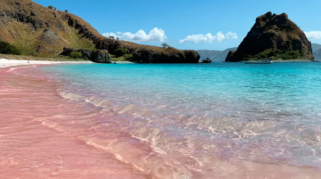 Ilustrasi Pantai Pink (Foto: Traveloka)
