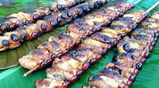 Ilustrasi sate ulat sagu (Foto:Badan Kebudayaan Nasional)