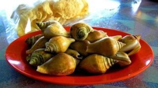 Ilustrasi Kuliner Khas Bintan (Foto:detikTravel)